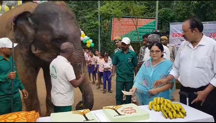 दलमा वाइल्डलाइफ सेंचुरी में मना हथिनी रजनी का 15वां  जन्मदिन, विधायक संग रजनी काटी  20 पाउंड का केक