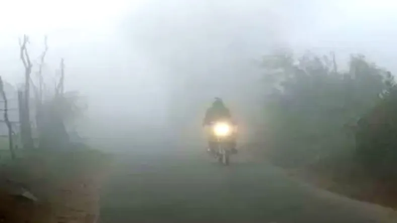 JHARKHAND WEATHER UPDATE : झारखंड की ओर बढ़ रही हैं उत्तर-पश्चिमी हवाएं, घने कोहरे का अलर्ट, नए साल के साथ शुरू होगी शीतलहर